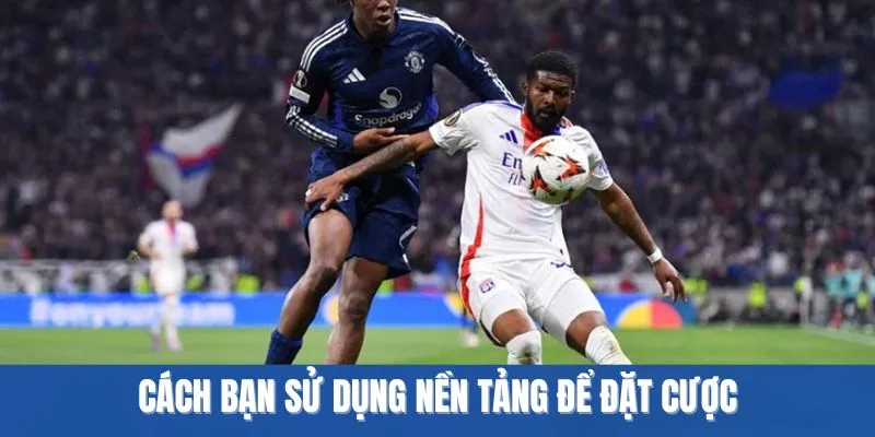 Cách bạn sử dụng nền tảng để đặt cược