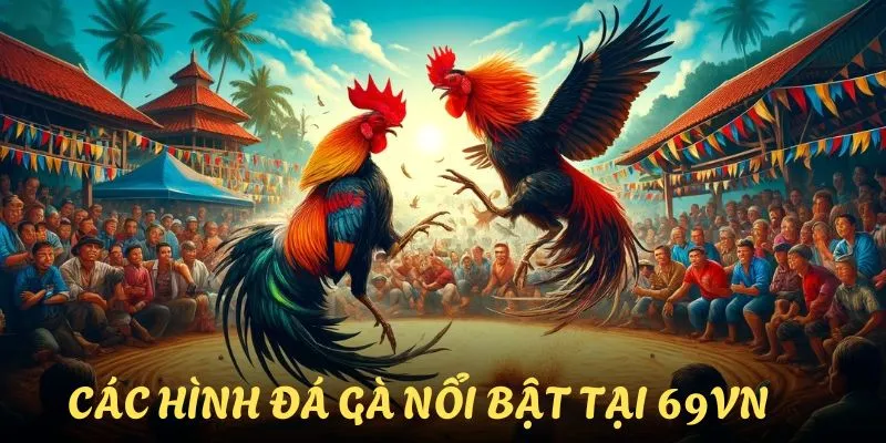 Các hình thức chọi kê phổ biến nhất hiện nay tại 69VN