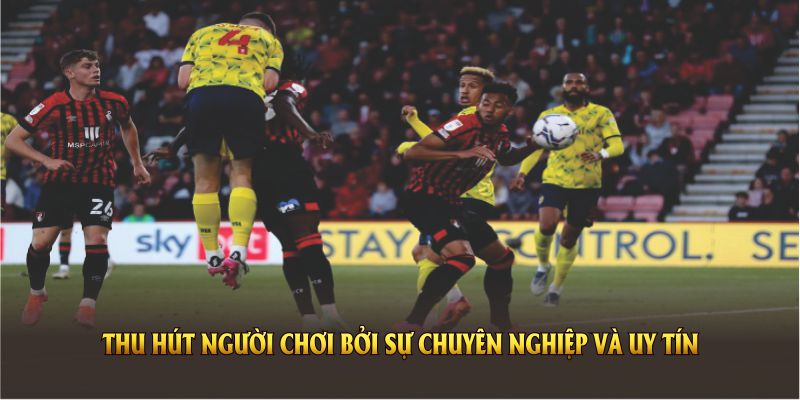 Sự kiện thể thao tại 69VN thu hút người chơi bởi sự chuyên nghiệp và uy tín hàng đầu